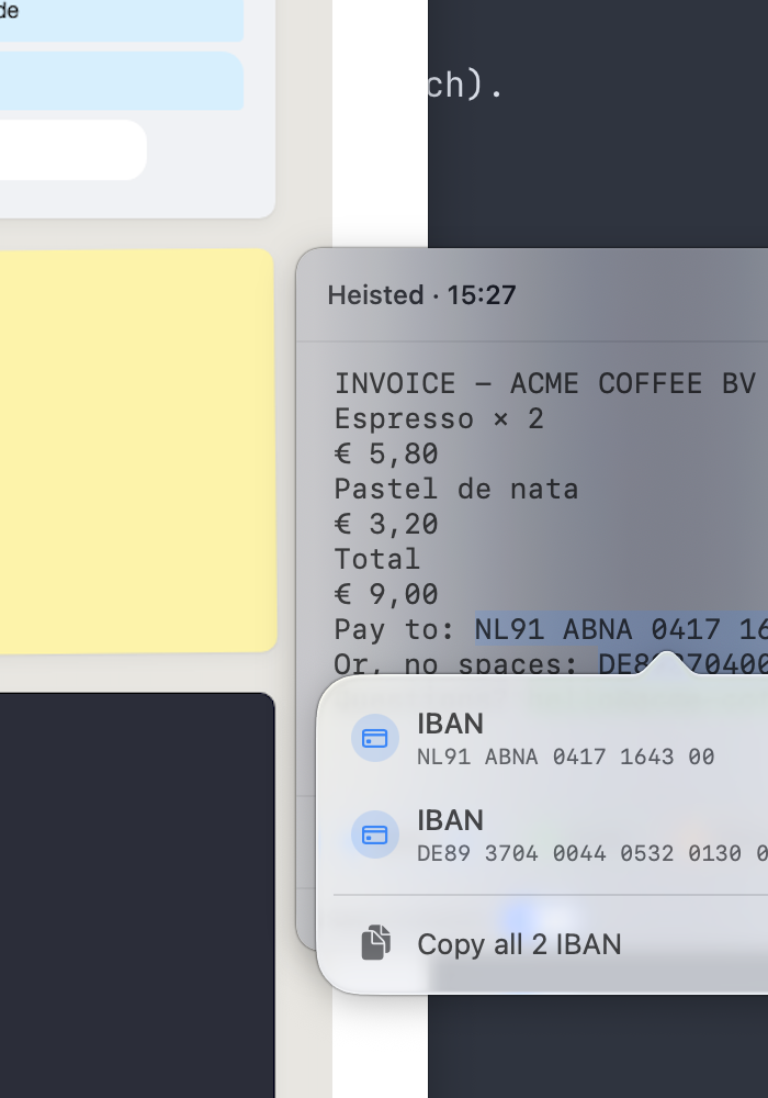 The disambiguation popover anchored to a highlighted IBAN, showing two candidates and a Copy all 2 IBAN button.